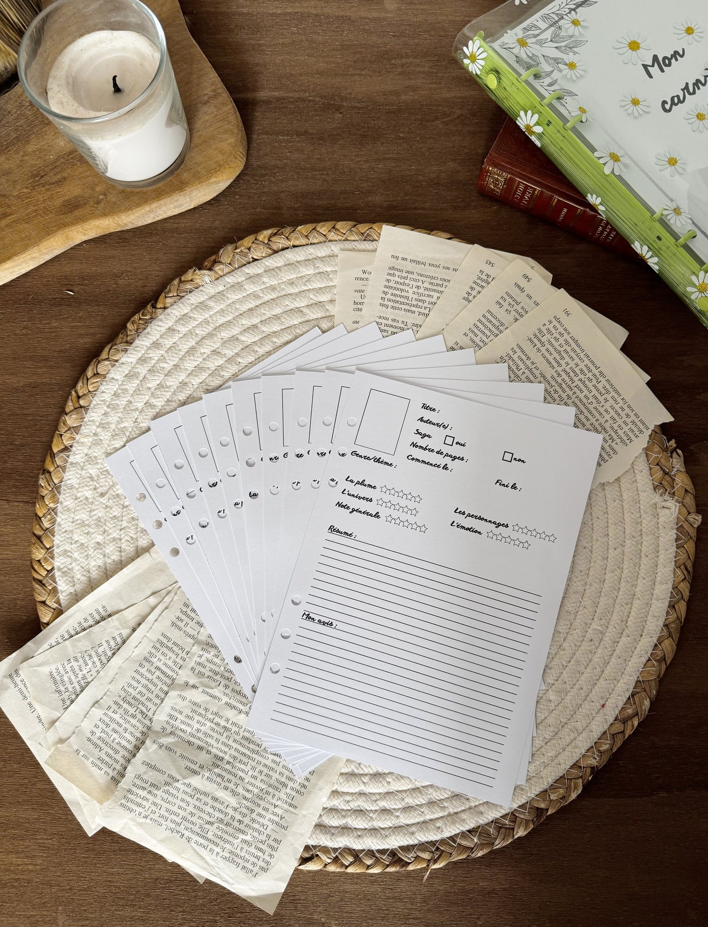 Lot de fiches de lecture pour carnet de lecture