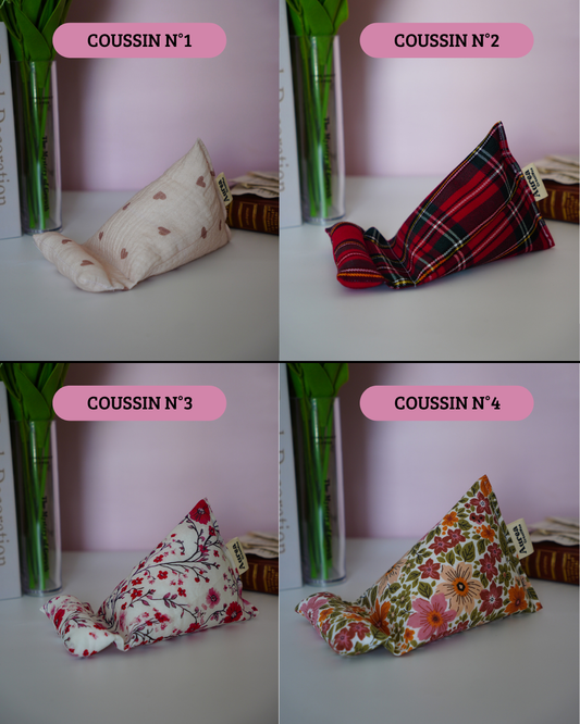 Coussins liseuse