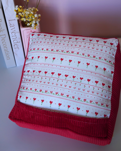 Coussin pour liseuse love