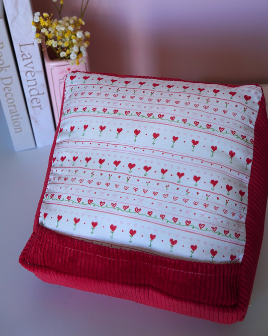 Coussin pour liseuse love