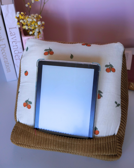 Coussin pour liseuse oranges